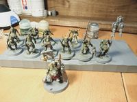 Nurgle Army